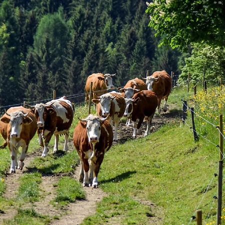 洛恩堡Urlaub Auf Dem Haberlhof别墅 外观 照片