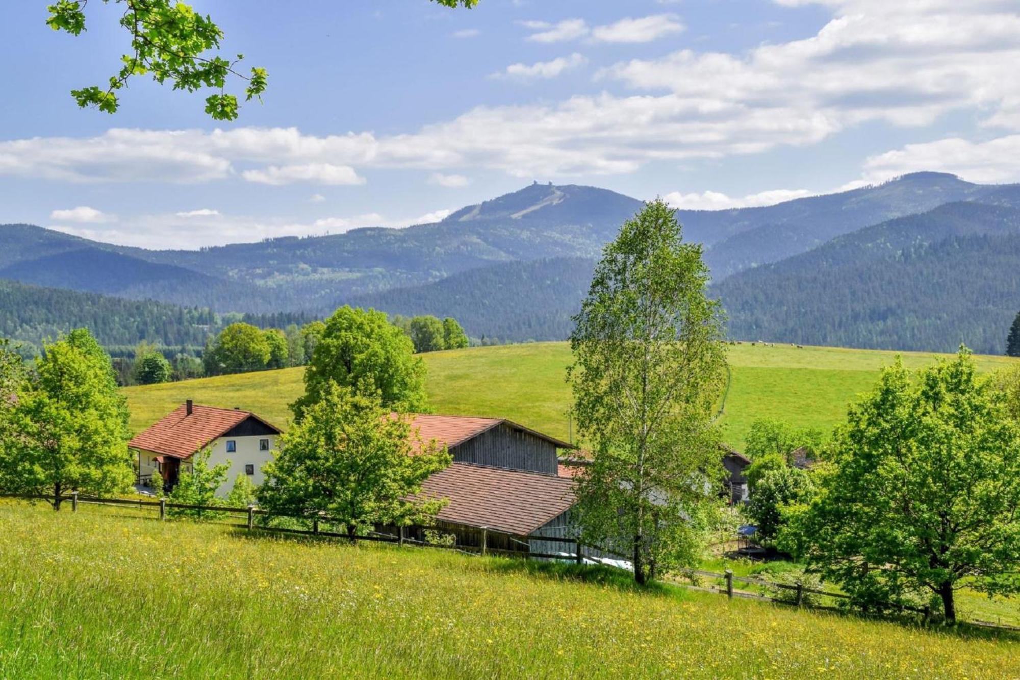 洛恩堡Urlaub Auf Dem Haberlhof别墅 外观 照片